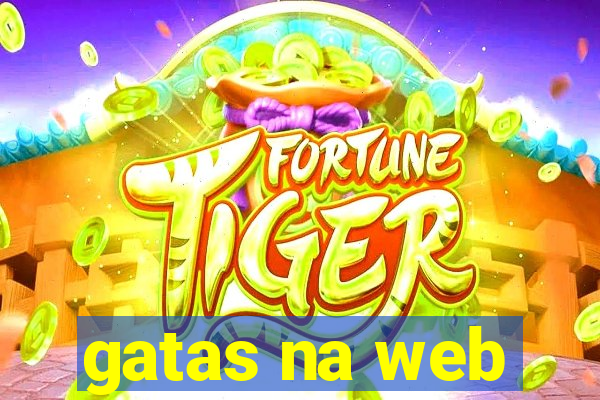 gatas na web